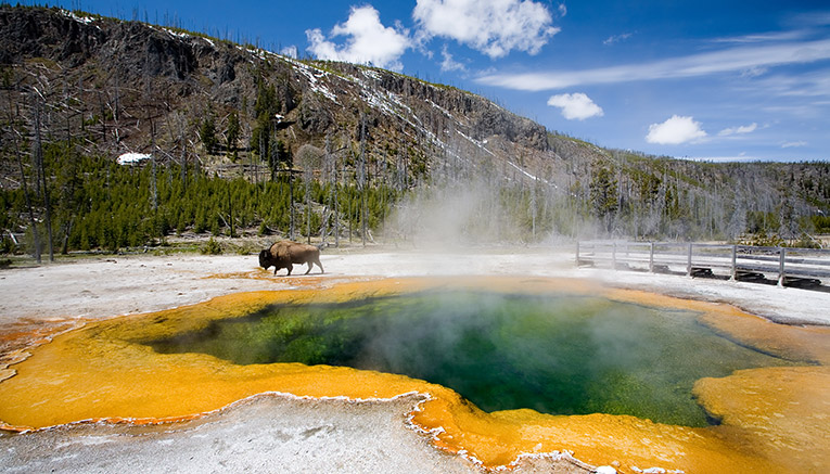 Mytqf-yellowstone-multisport-7